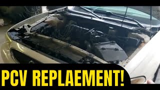 How To Replace Your PCV valve on a GM 3.8L V-6