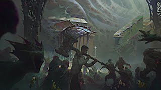 Still strolling in multiverse