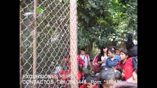 Visitas Educativas Parque De Las Leyendas