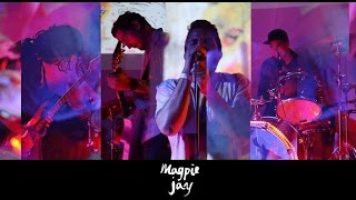 Magpie Jay - Red Carnation chords