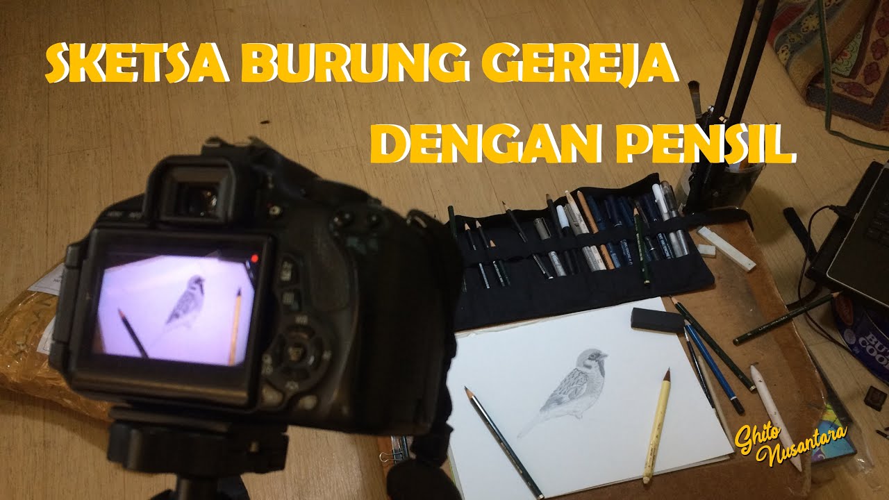 CARA MEMBUAT SKETSA BURUNG GEREJA 