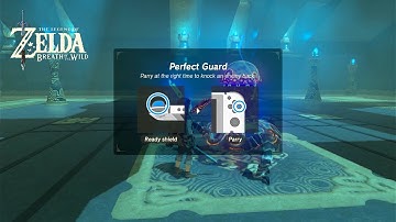 Battle Tips 4: Perfect Guard - Dueling Peaks - Breath of the Wild - Nintendo Switch Games