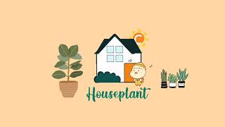 [no copyright music] house plant background music simple for vlog aesthethic