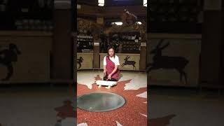 山月村布洛灣木琴2-20190923