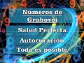 Salud Perfecta - Números de Grabovoi - Solo audio con Números - voz de Bel Aguirre