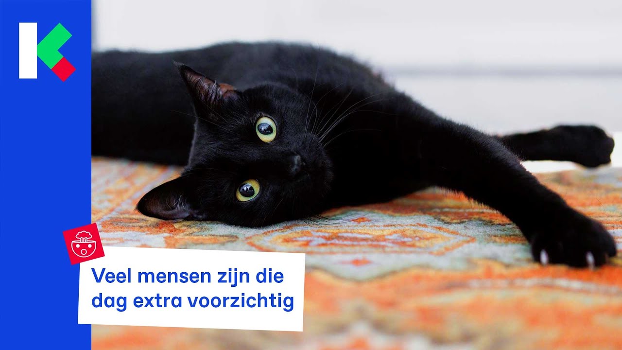 Vrijdag de 13de: een ongeluksdag of niet? - YouTube