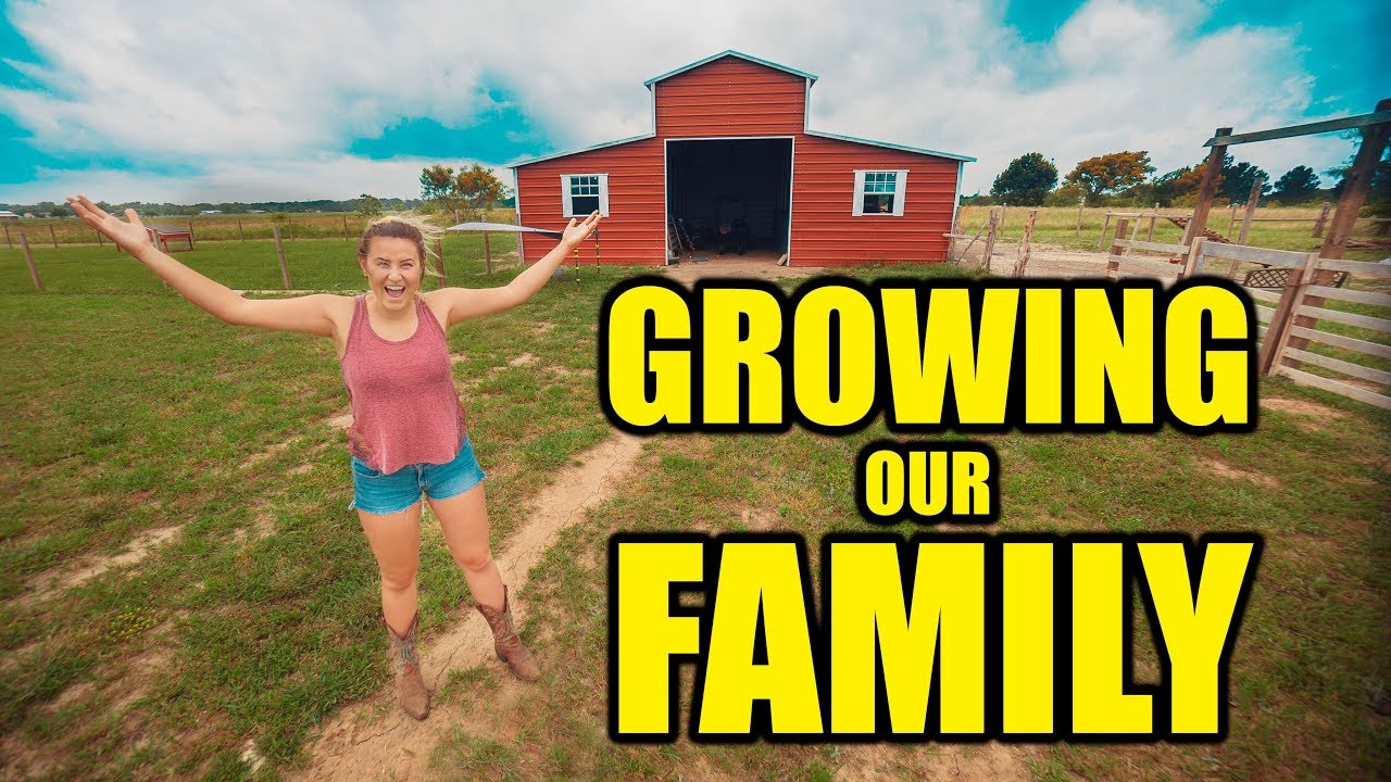 Our Family Is GROWING!!! YouTube
