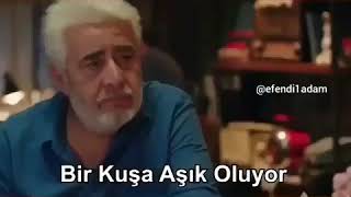 Balığın Kuşa Olan Aşkı
