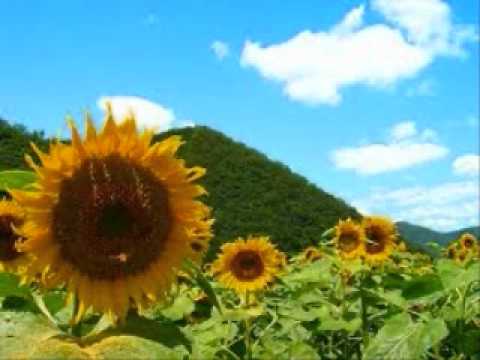 ゆず夏色を二倍速にしてみた。