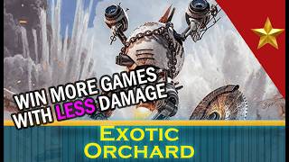 You don't know how to build Rose, Cutthroat Raider | MTG EDH Commander Deck Tech