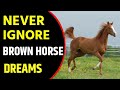 What does brown horse dream meaning  dreaming of brown horse  brown horse dreams interpretation