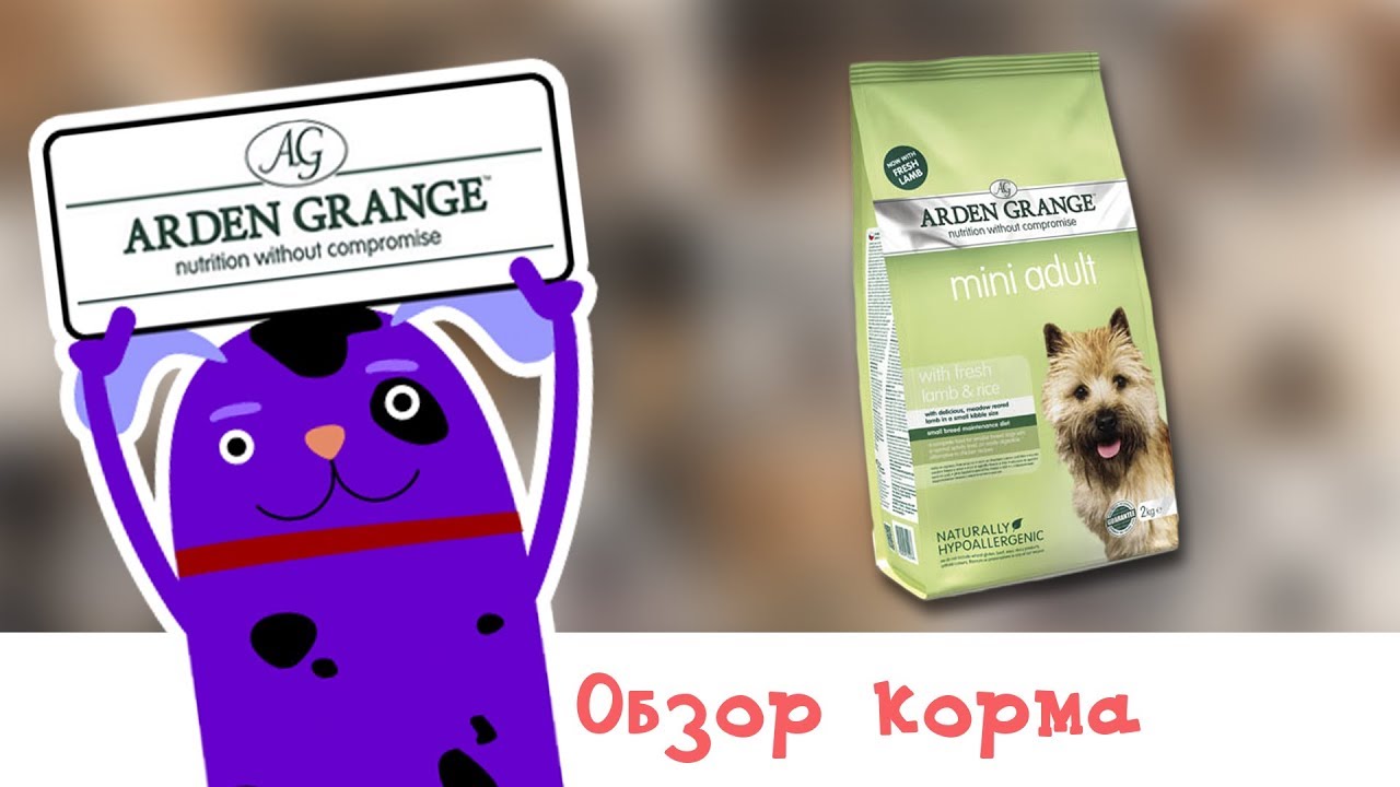 Обзор корма Arden Grange Adult Dog Mini with Lamb and Rice