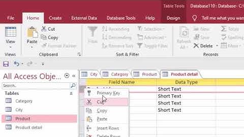 How to create software in microsoft access 2016 in hindi and english