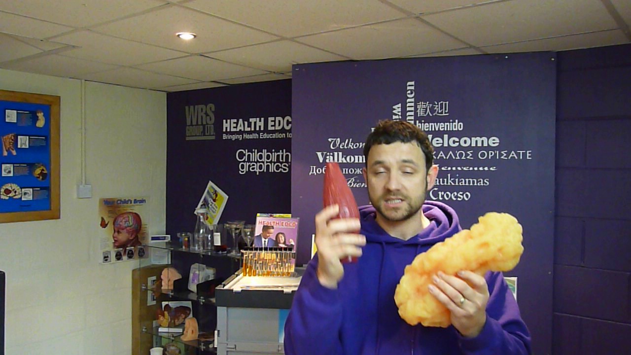 healthy meals HEALTH EDCO - CHUNK OF FAT!