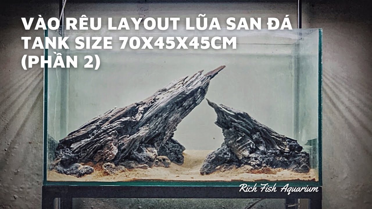 Setup Layout Bể 70x45x45cm Để Ươm Rêu Minitaiwan | Setup Tank Size ...