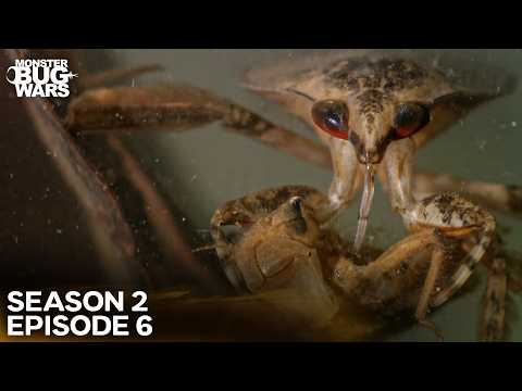 Underwater Alien War! | Monster Bug Wars Season 2 Episode 6