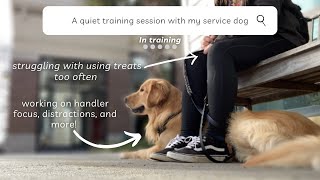 A “Quiet” Training Session with my Service Dog in Training! | Working on Being a Better Team by helperpupatlas 1,212 views 1 year ago 20 minutes