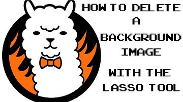 FireAlpaca Tutorial How to Delete a background image.