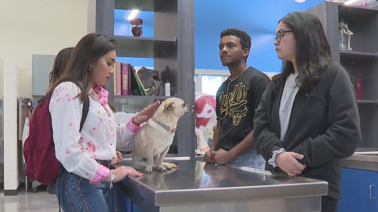 Hays school district expands its Career and Technical Education program