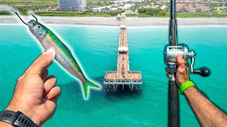 Pier Fishing This Could Catch Anything