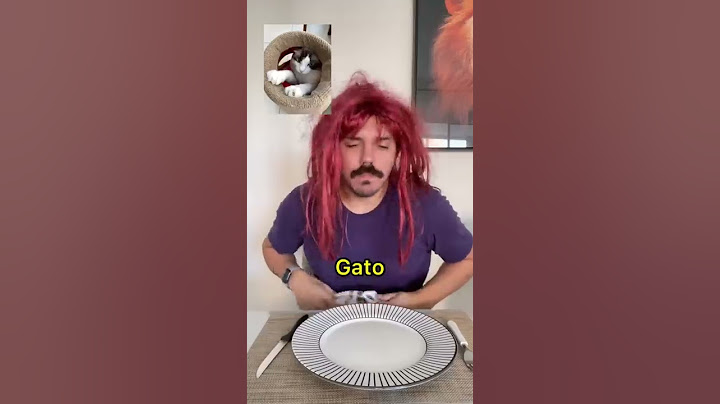 RAÇAS DE CÃES NO RESTAURANTE