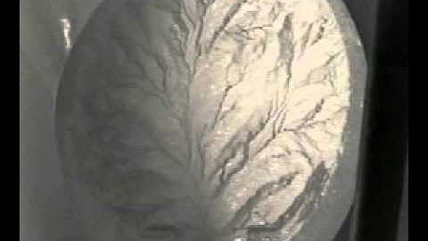 Drainage Basin Morphology