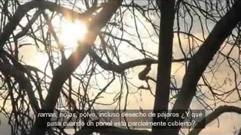 Sunpower Panels shade performance