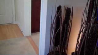 The Savoy at Dayton Station Apartments - Aurora - 1 Bedroom - Ethel Waters Floorplan