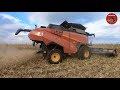 2018 Corn Harvest in Illinois with a new Versatile RT520 Combine