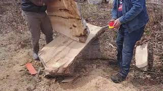 Chainsaw Milling With Mark, Greg And Jody