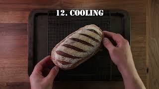 Full The 12 Steps of Baking Guide | Bread Making Principles Update