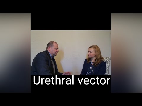 Video: Urethrale Vector