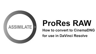 Play Pro Studio - Converting ProRes RAW to CinemaDNG