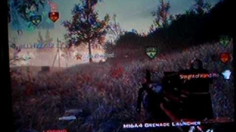 Call Of Duty: Modern Warfare 2 Crazy Game