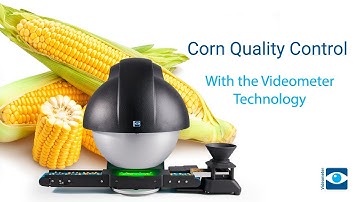 Corn Quality Control with VideometerLab with Autofeeder