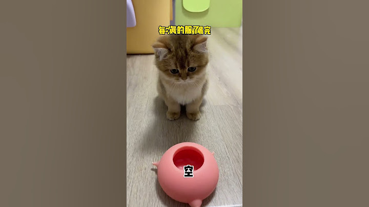【牛奶是只猫】没想到显眼包的心机那么重