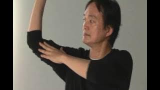 Tenshin Ranman Taichi demonstrated by Masahiro Ouchi