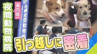 北海道唯一の夜間動物病院　引っ越しに密着　一日も休まず移転できるか　ペット救急医療　緊迫の24時間