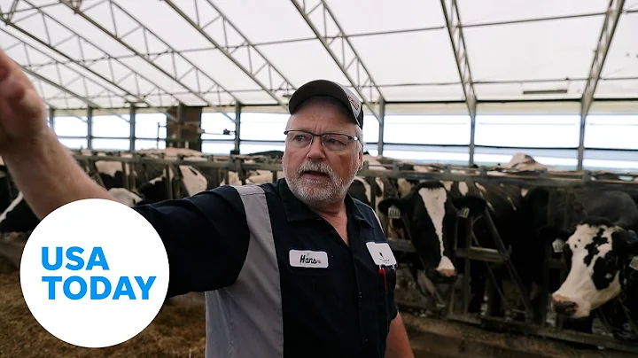 Revealed: How Trump's immigration policy hurts American farmers