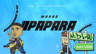 Watch Morad Papara video