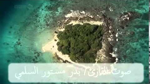 روائع تلاوه سورة الانبياء بصوت القارئ بدر مستور السلمي