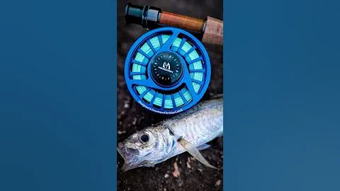 Maxcatch rod, reel and line