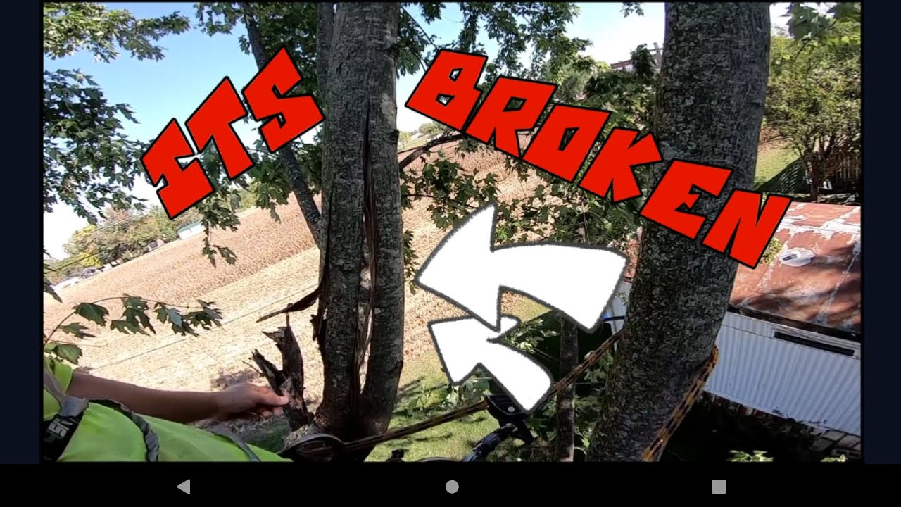 BROKEN TREE in a TIGHT SPOT - YouTube