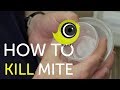 How To Kill Mite | The Canary Room Top Tips