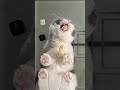 この角度…猫の食べっぷりがやばすぎ😂 DJI Mic Miniで音も超クリア🎧｜猫動画