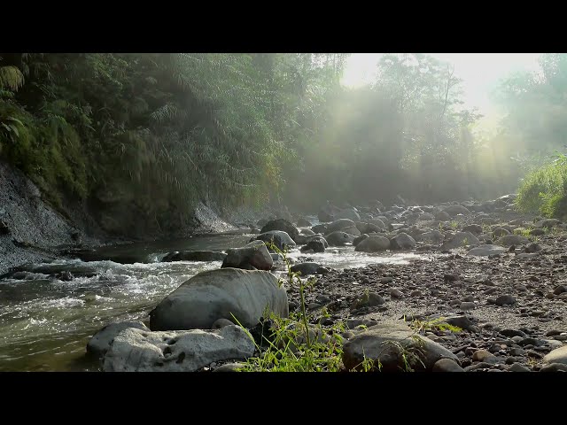 River Stock Footage - Lake Free Stock Videos - River No Copyright Videos class=