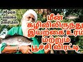 மேம்படுத்தப்பட்ட மீன் அமிலத்தின் சிறப்புகள் | பூச்சிகளை விரட்டி பயிர் வளர்ச்சிக்கு  பங்காற்றும்