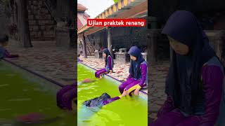 Ujian praktek renang