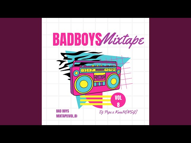 Bad Boys VIII Mixtape (Vol.8) class=