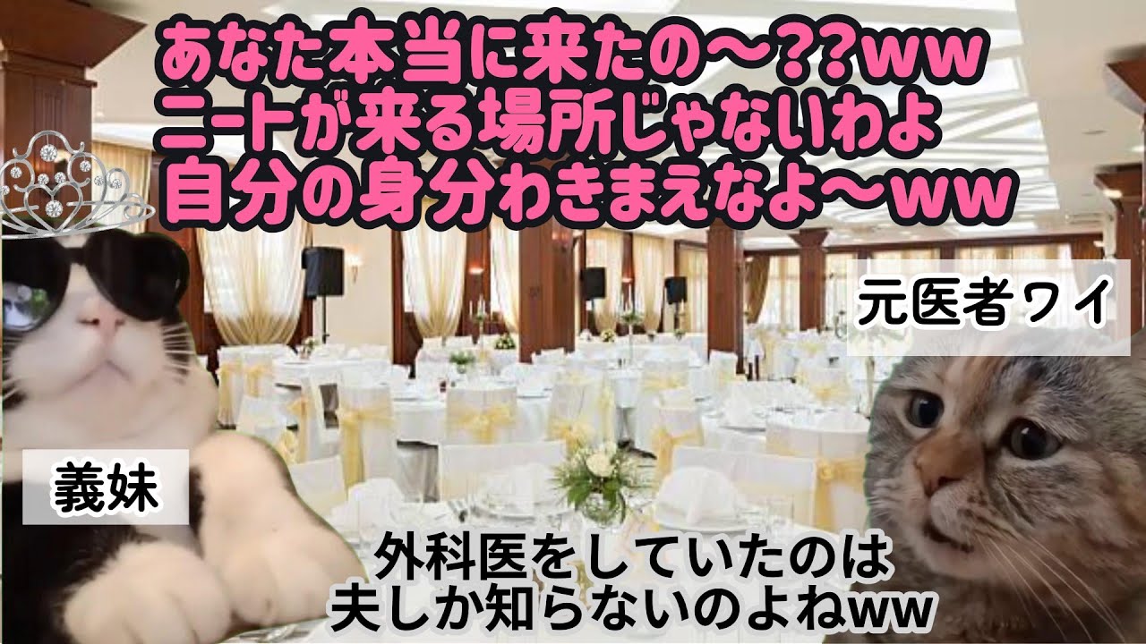 【スカッと猫ミーム】義妹「ニート乙w」→私の正体バレて震え上がるwww #猫マニ #猫ミーム